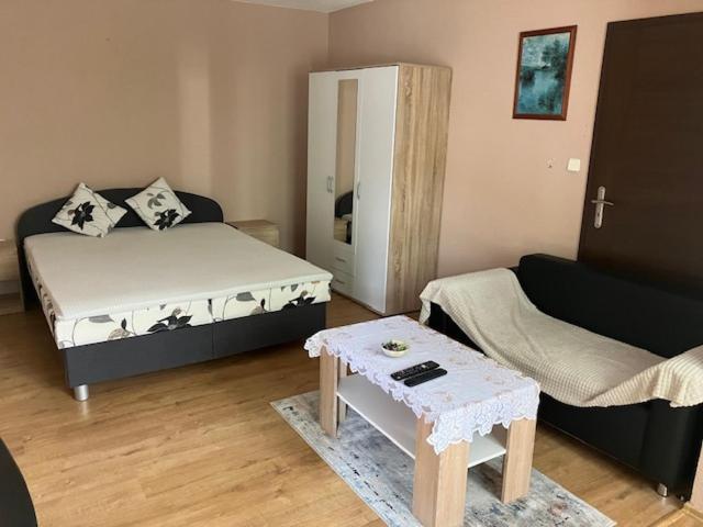 Апартаменты Apartmanovy Dom Slavia Бойнице Экстерьер фото